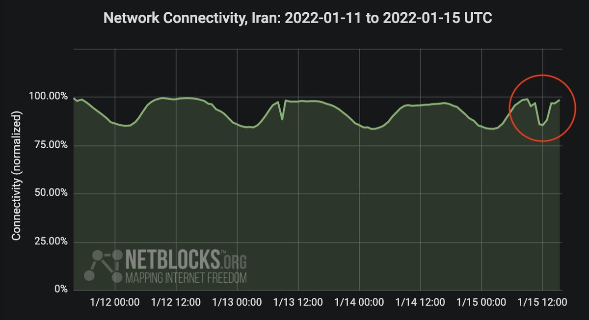 A damaged fiber-optic cable which runs through the Georgia border with Armenia has resulted in disruption to internet service in multiple countries including Iran. Engineers are working to resolve the issue