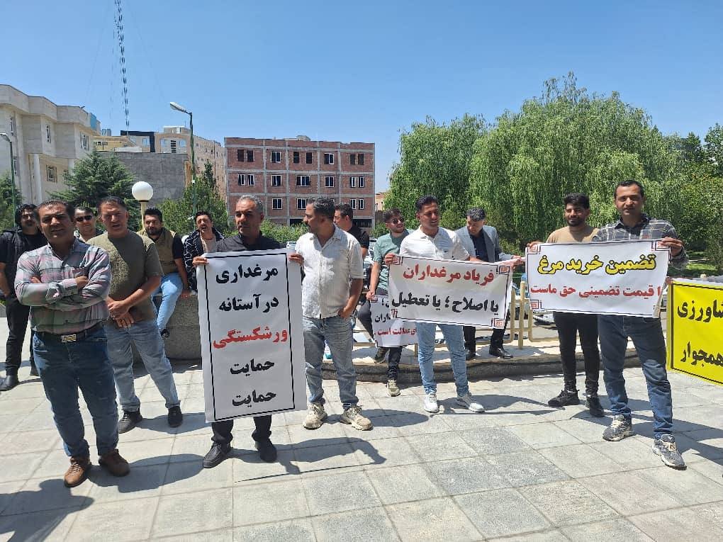 Ardebil, northwest Iran: Poultry farmers hold protest rally, demanding price alignment for live chicken with neighboring provinces, where a reported price gap has led to losses estimated at millions of rials due to market inefficiencies