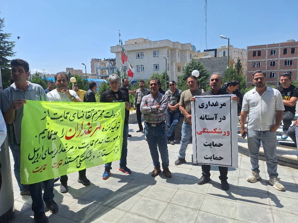 Ardebil, northwest Iran: Poultry farmers hold protest rally, demanding price alignment for live chicken with neighboring provinces, where a reported price gap has led to losses estimated at millions of rials due to market inefficiencies