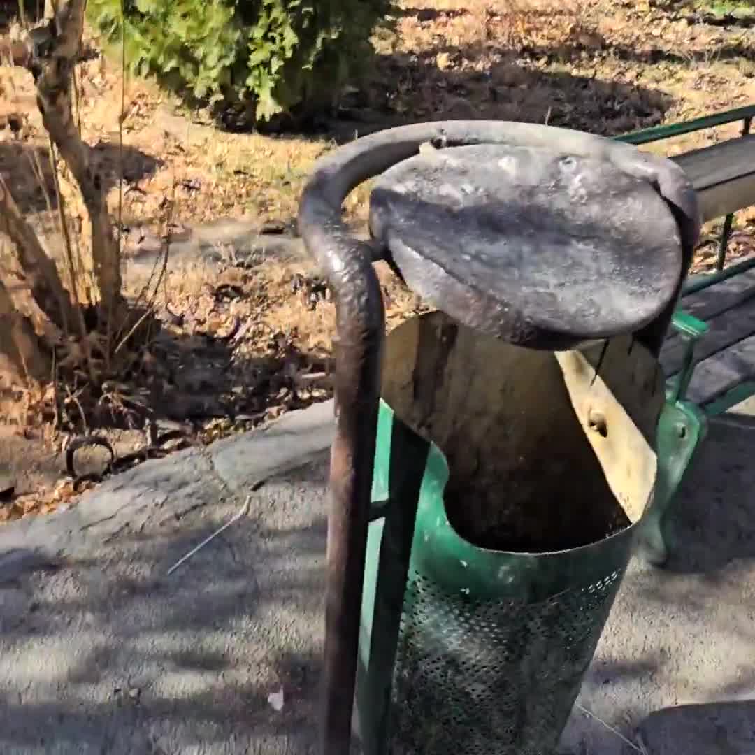 Angry student protests erupt at Tehran University under the slogan Death to tyranny