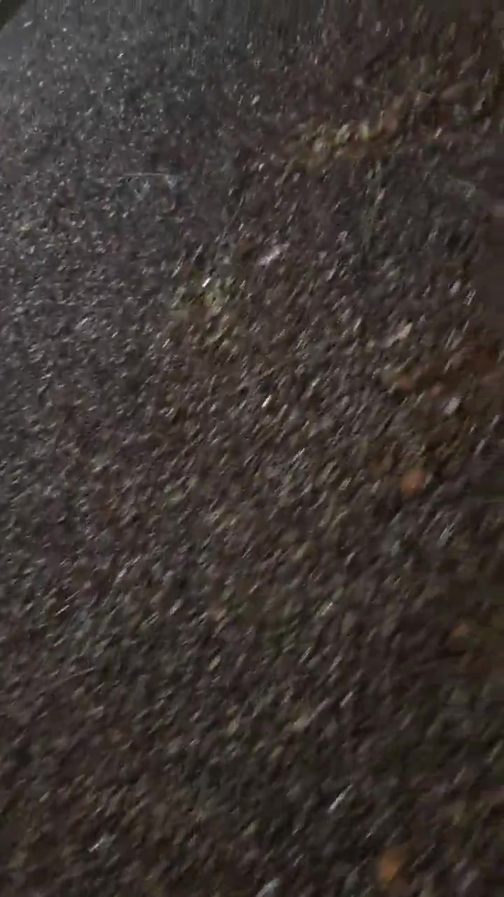 Students at Khajeh Nasir University hold protest rally in defiance of security measures by regime forces. Students are chanting: This is the year of blood, Seyyed Ali [Khamenei] will be overthrown and Basij, IRGC, you are ISIS to us