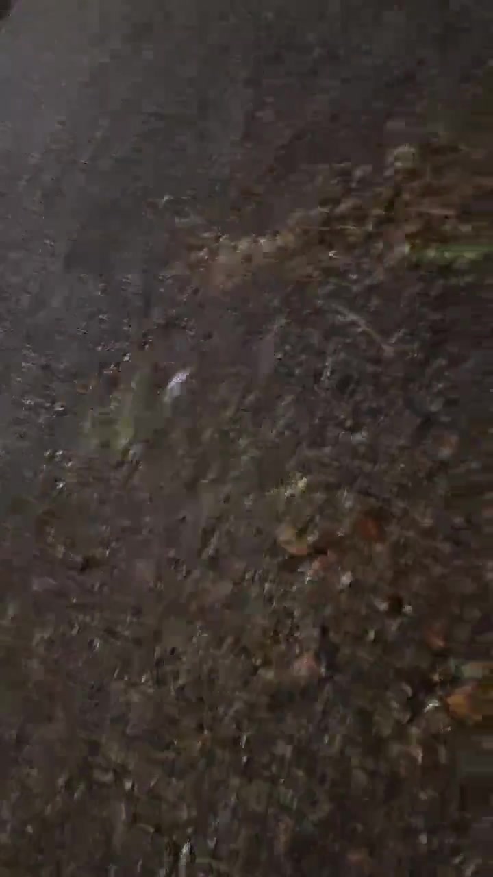 Students at Khajeh Nasir University hold protest rally in defiance of security measures by regime forces. Students are chanting: This is the year of blood, Seyyed Ali [Khamenei] will be overthrown and Basij, IRGC, you are ISIS to us