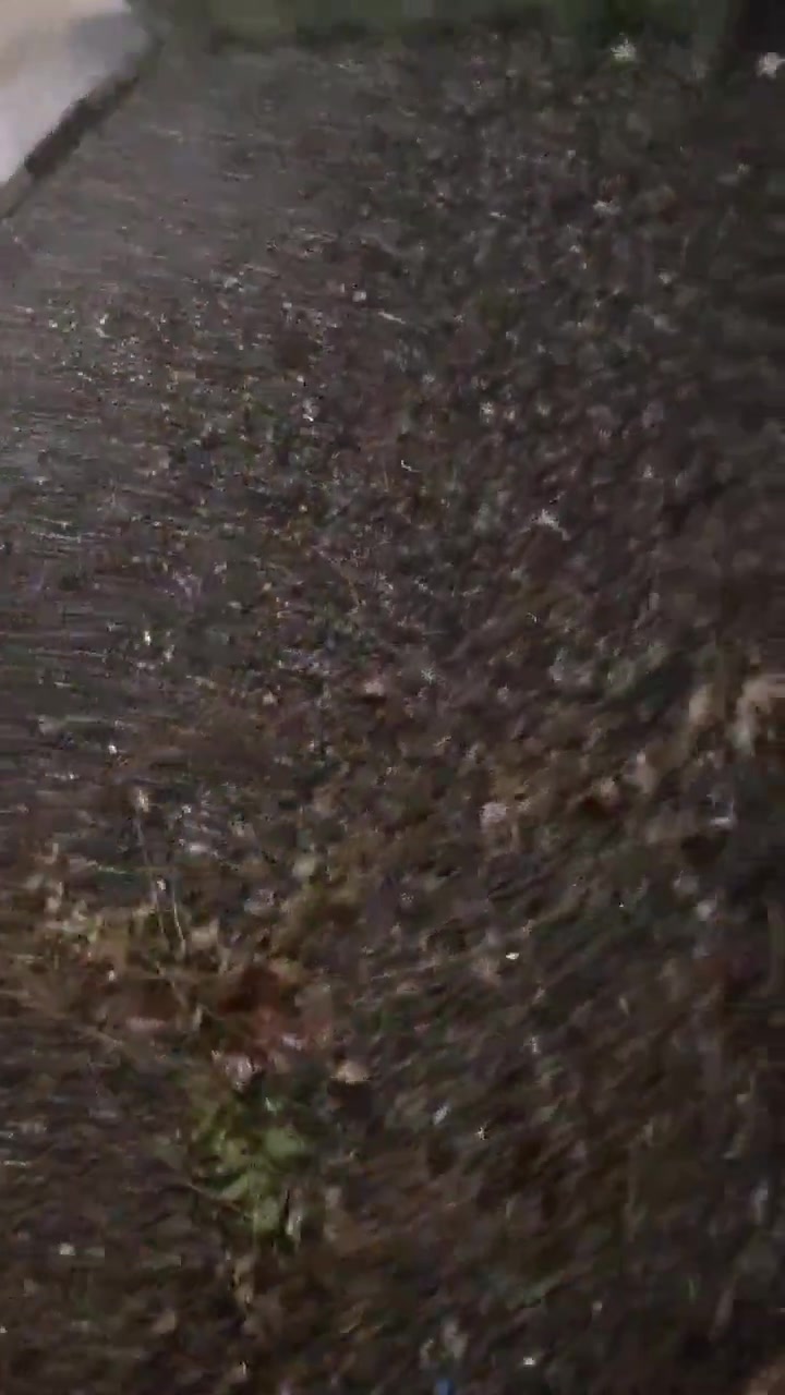 Students at Khajeh Nasir University hold protest rally in defiance of security measures by regime forces. Students are chanting: This is the year of blood, Seyyed Ali [Khamenei] will be overthrown and Basij, IRGC, you are ISIS to us