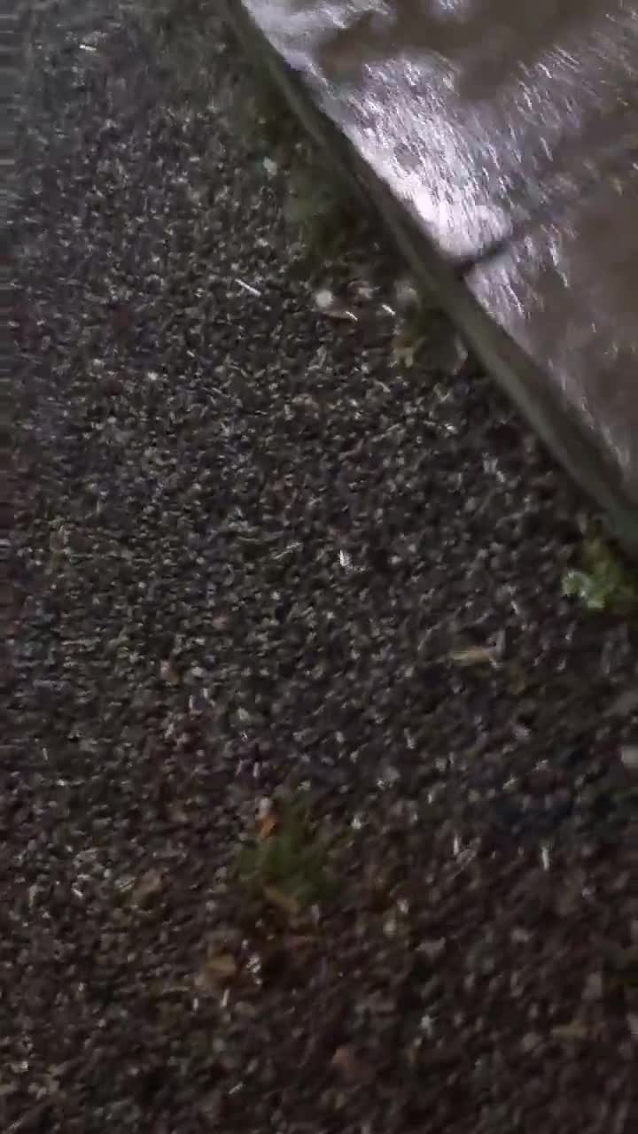 Students at Khajeh Nasir University hold protest rally in defiance of security measures by regime forces. Students are chanting: This is the year of blood, Seyyed Ali [Khamenei] will be overthrown and Basij, IRGC, you are ISIS to us