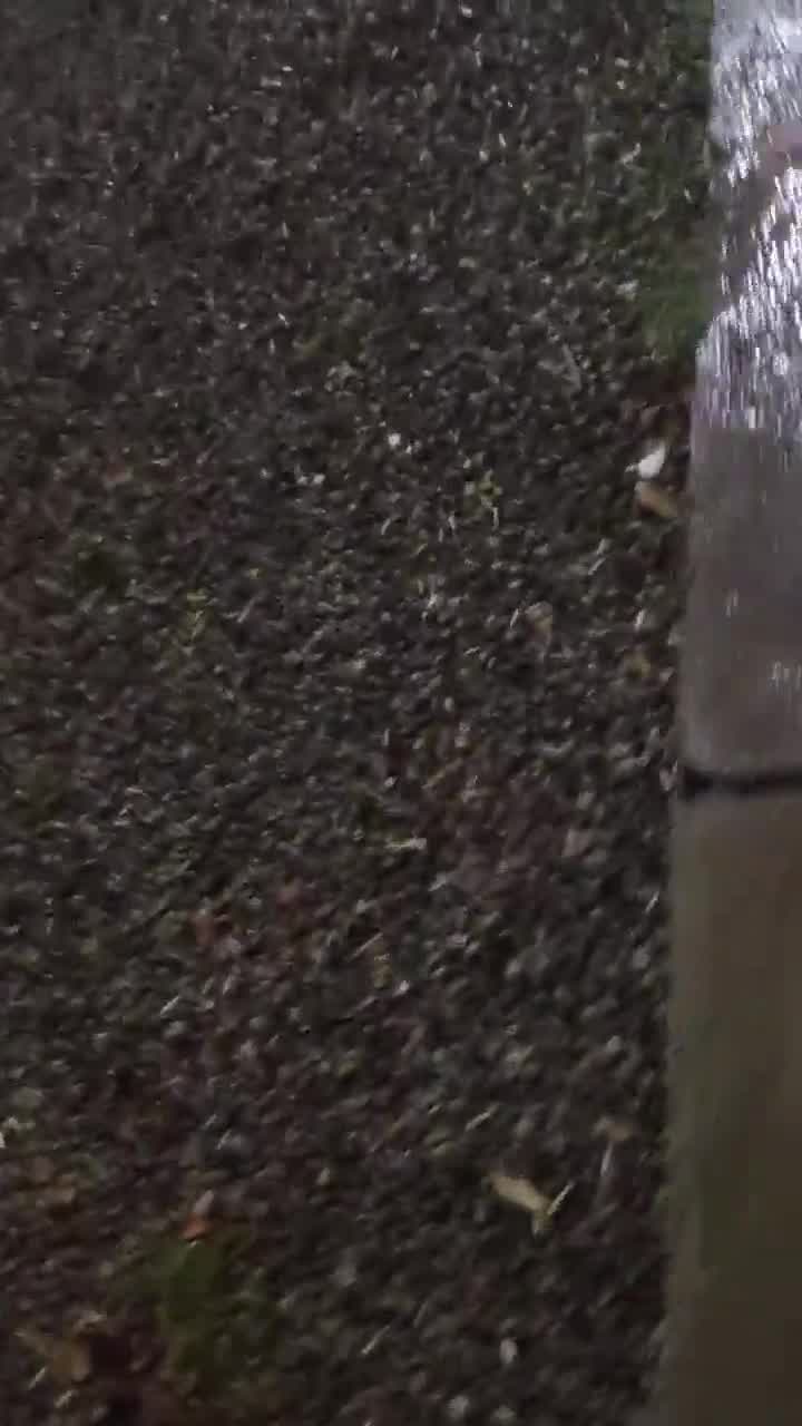 Students at Khajeh Nasir University hold protest rally in defiance of security measures by regime forces. Students are chanting: This is the year of blood, Seyyed Ali [Khamenei] will be overthrown and Basij, IRGC, you are ISIS to us