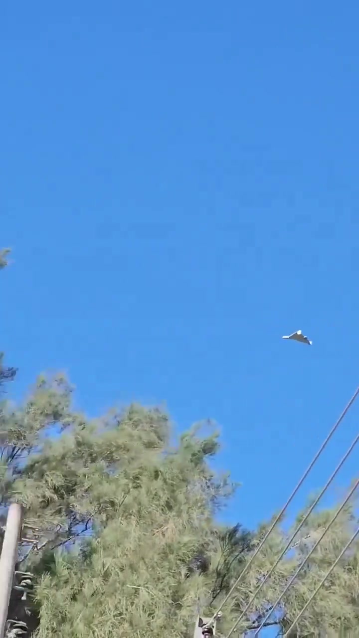A drone was spotted flying in the skies over Maysan province in southern Iraq.