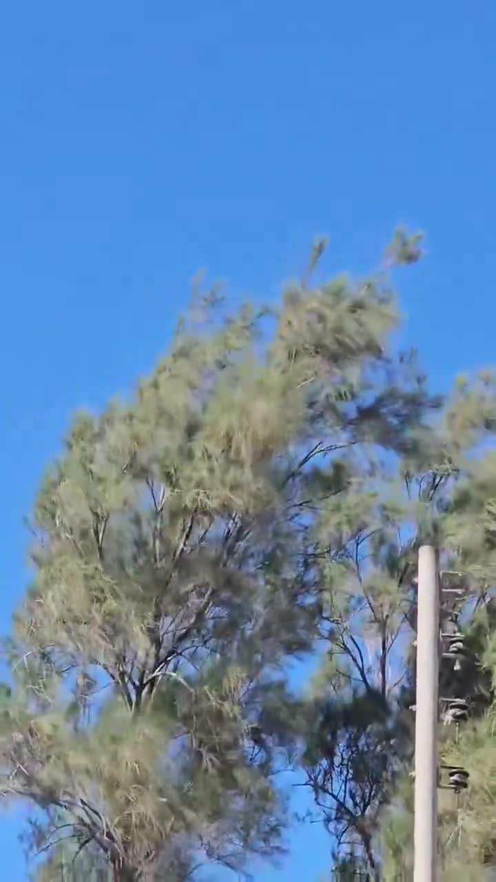 A drone was spotted flying in the skies over Maysan province in southern Iraq.