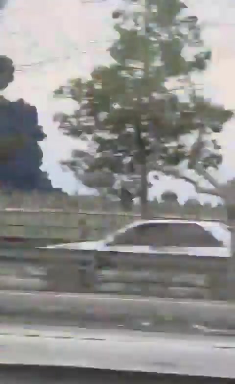 Fire and a thick plume of black smoke are seen near Mashhad International Airport in north-east Iran following reported strikes today. Mashhad airport is home to the Shekari 14 air base of Iran's air force