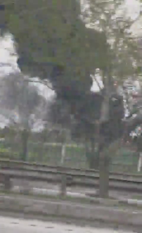 Fire and a thick plume of black smoke are seen near Mashhad International Airport in north-east Iran following reported strikes today. Mashhad airport is home to the Shekari 14 air base of Iran's air force